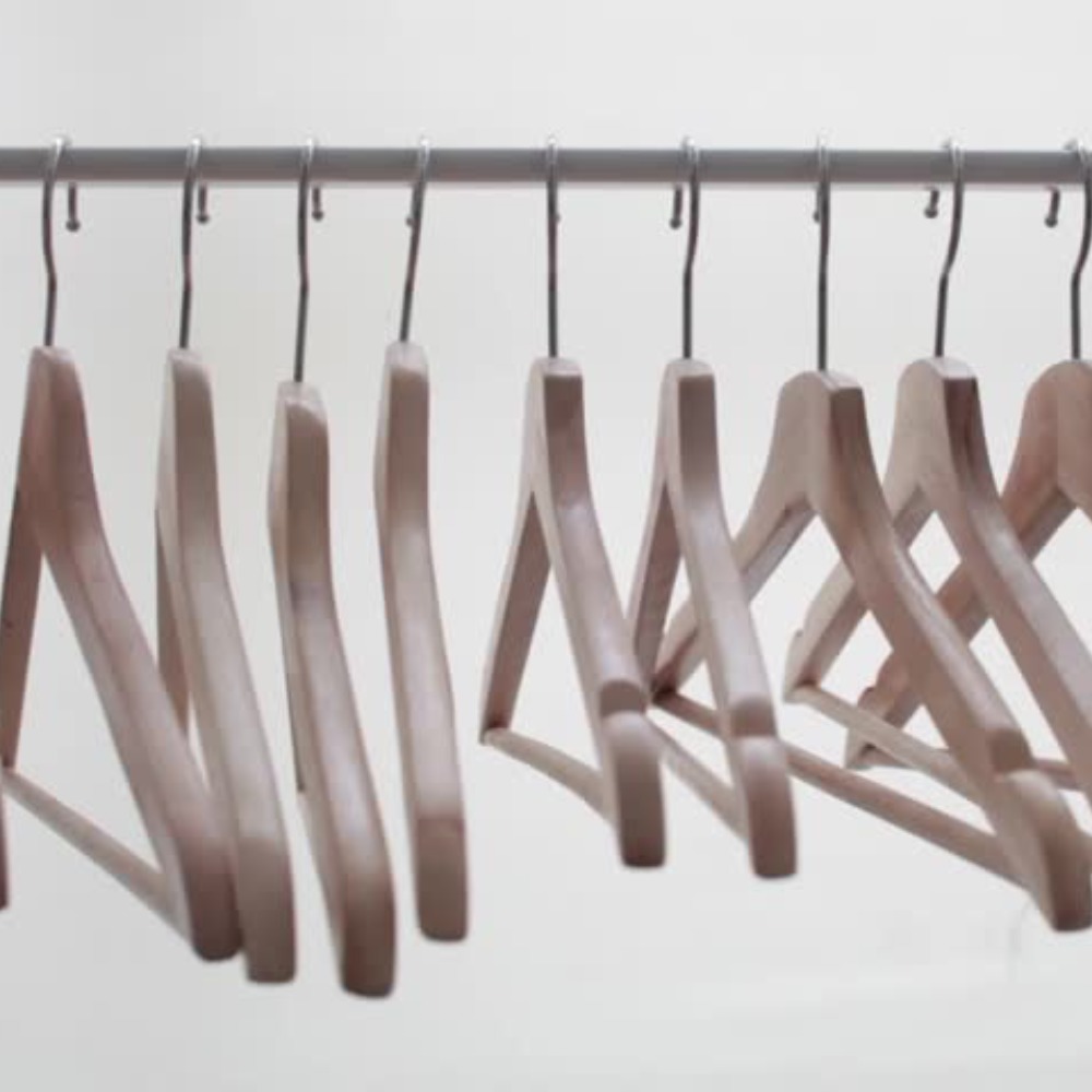 Closet TWO Chicks with occasional special guests..